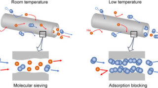 和泉の論文がJournal of Membrane Scienceに掲載されました