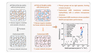 Niuの研究がJournal of Membrane Scienceに掲載されました。